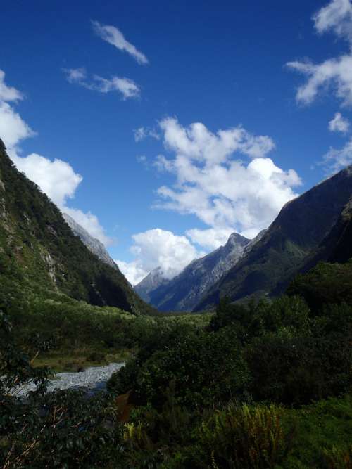 New Zealand Fiordland Milford Sound Nature