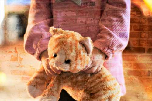 Child Stuffed Animal Childhood Luck Joy Teddy