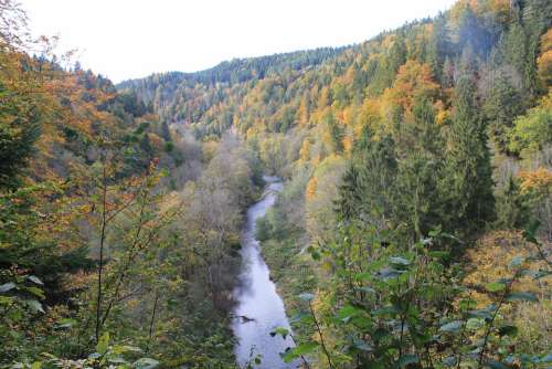 Autumn River Bach Forest Nature Landscape Water