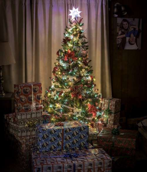 Christmas Tree Presents Gifts Holidays Celebration