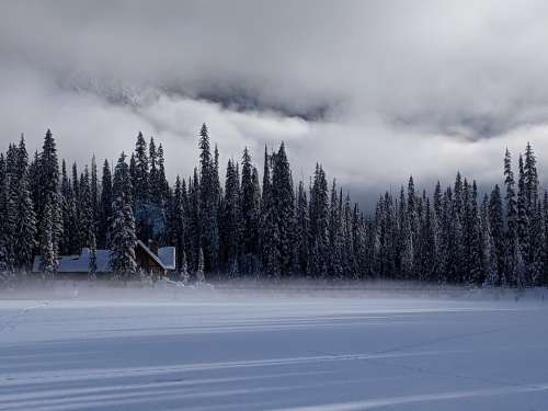 Emerald Lake Lodge Snow Fog Nature Winter
