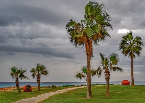 Cyprus Ayia Napa Nissi Beach Autumn Palm Trees Sky