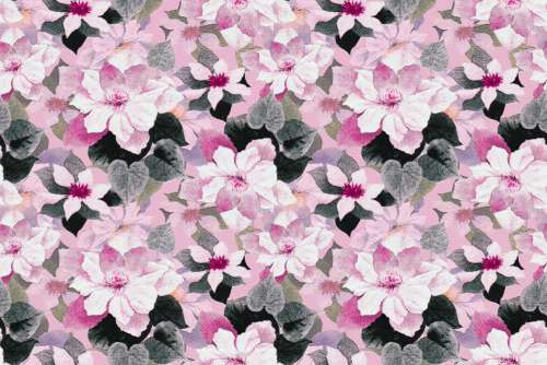 Floral Pattern Background 1801