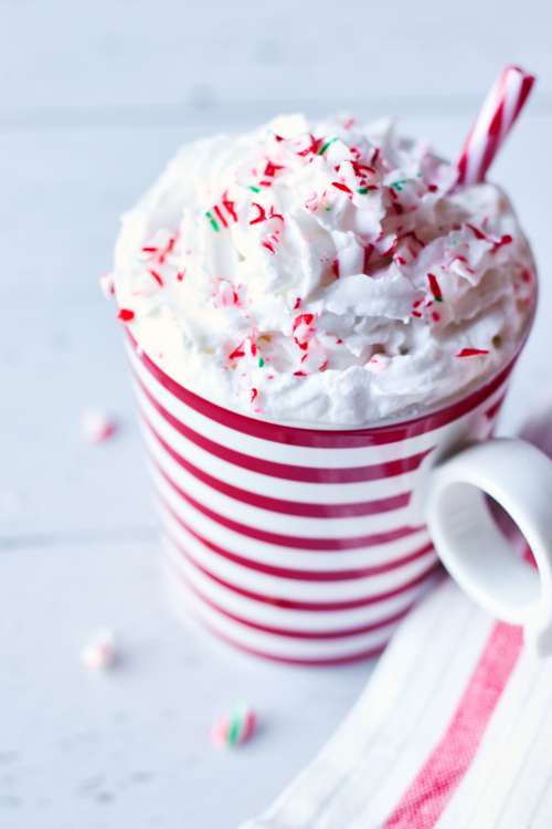 holiday hot chocolate beverage drink