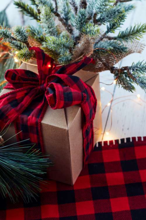 seasonal backgrounds christmas ribbon pine