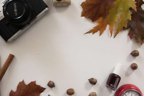 flat lay camera autumn leaves fall