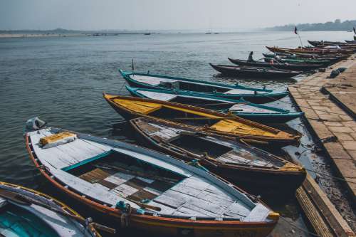 Canoes Docked By The Shore Photo