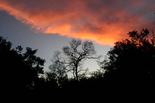 Fiery Evening Sky Photo