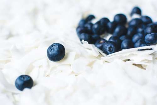 Close up of blueberry on coconut flakes