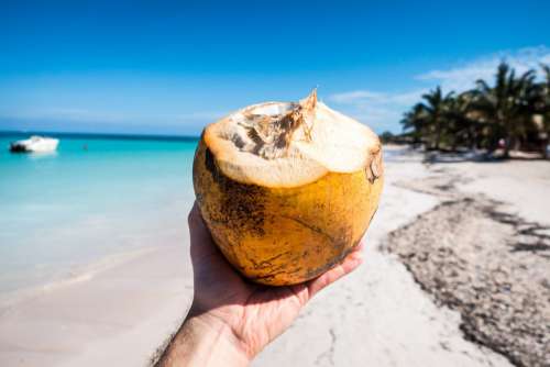 Drinking fresh young coconut on the beach