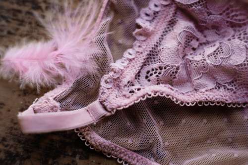Pink lace lingerie 2