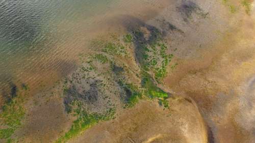 Aerial Sand Coast Free Photo