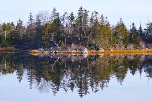 lake reflection landscape shore trees