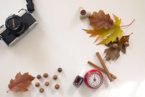 flat lay camera autumn leaves fall