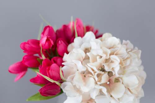 close up flowers bouquet pink white