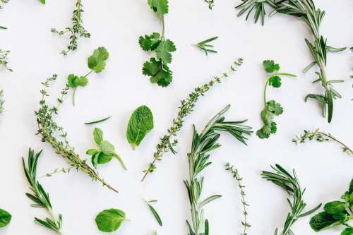 Fresh Herb Flatlay Photo