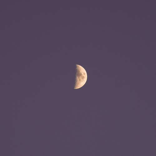 Half Moon At Night Photo