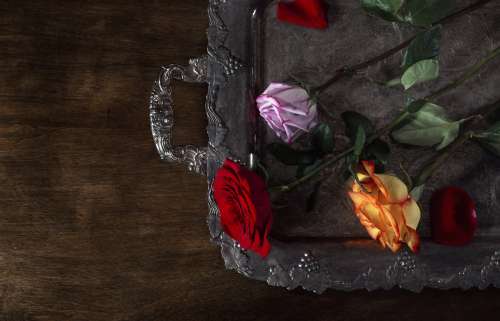 Three Roses On A Tray Photo
