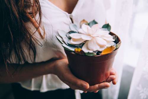 Young Woman Holds Potted Flower Photo