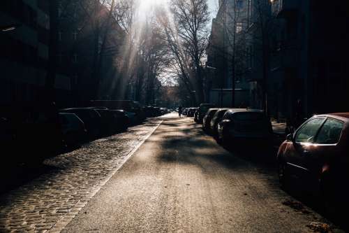 Sunshine On City Street Photo