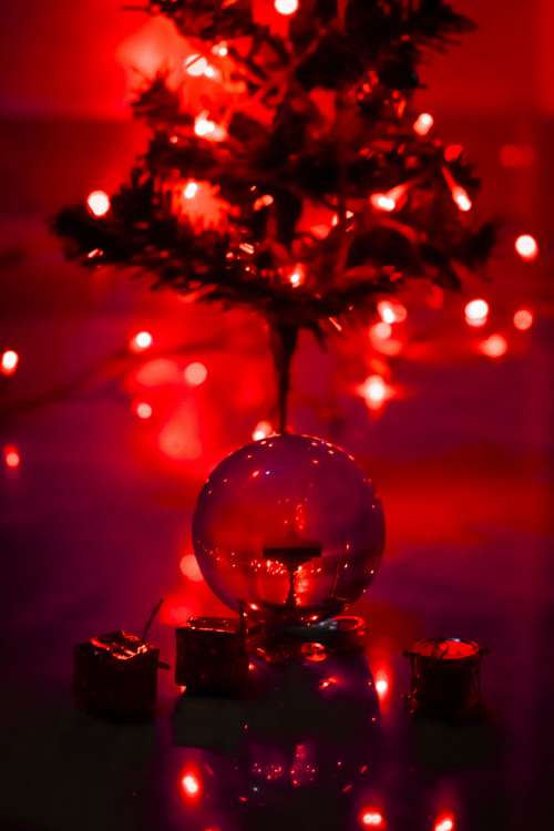 Glass Ball And Tree Photo