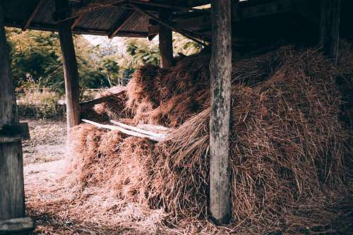 Hay Stack In Small Shack Photo