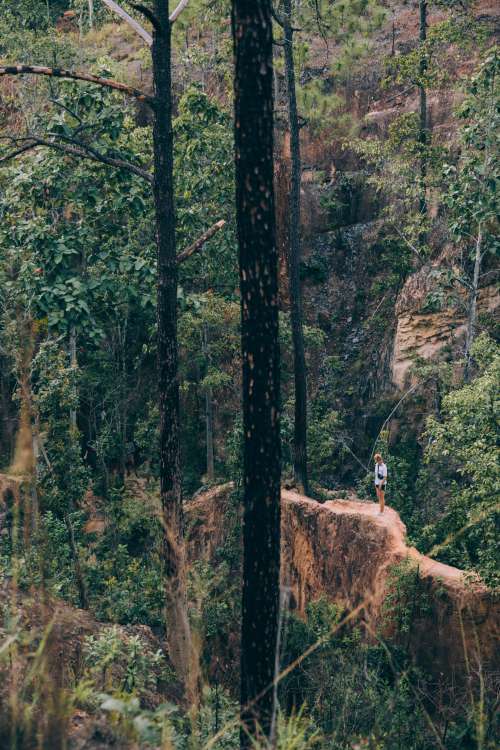 Lone Hiker Standing In A Forest Photo