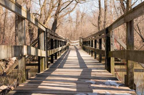 Rickety Wooden Bridge Surrounded By Trees Photo