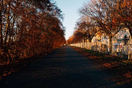 Fall Walk On Gravel Road Photo