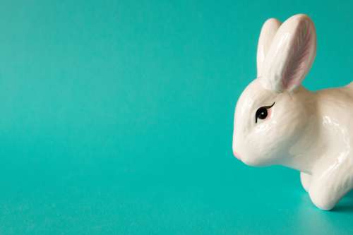 A Porcelain Rabbit Greets Us Photo