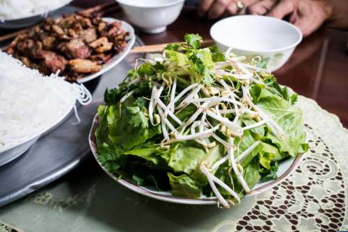 Bowl of fresh herbs and bean sprouts on a table