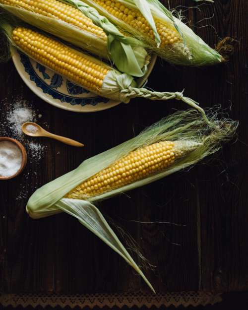 Overhead view of corn cobs