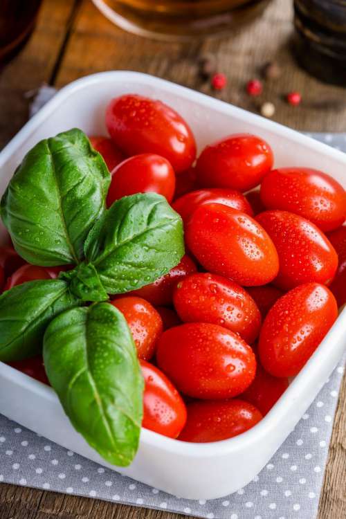 Bright red tomatoes and basil leaves