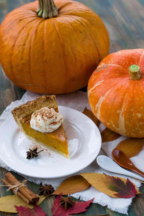 Close up of a slice of pumpkin pie on white plate