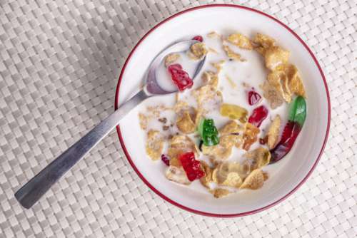 Breakfast Cereal Free Photo 