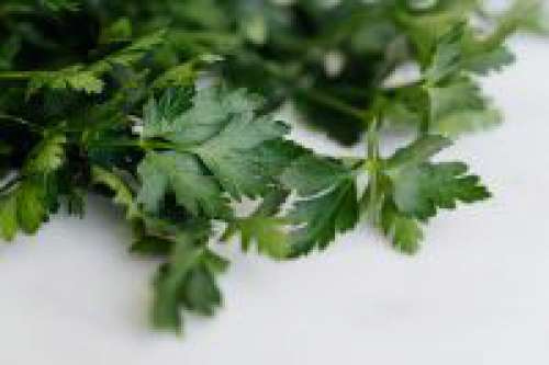 Parsley