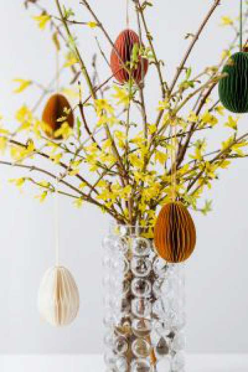 Easter with Forsythia