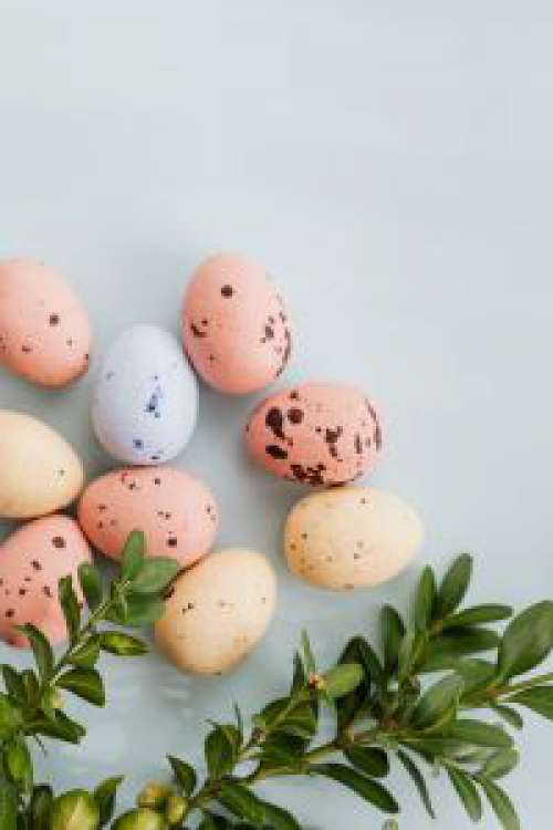 Easter Backgrounds - Free Photos