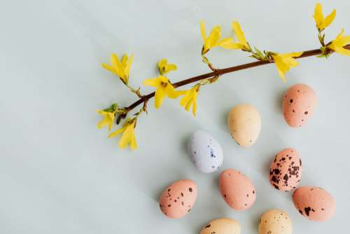 Easter Backgrounds - Free Photos