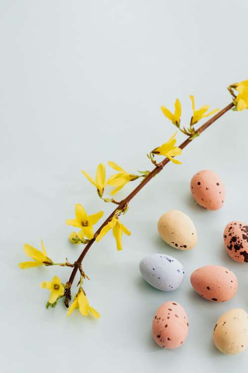 Easter Backgrounds - Free Photos