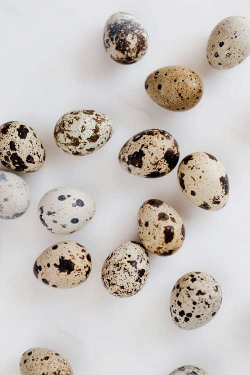 Quail eggs on marble