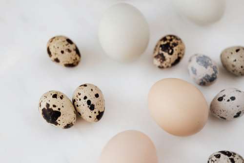 Quail eggs on marble