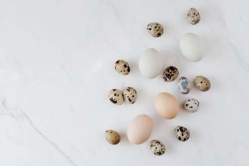 Quail eggs on marble
