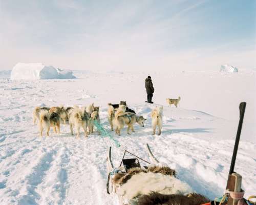 Sled ride