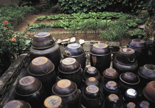 Garden and jugs