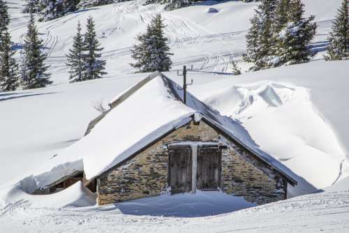 Winter Landscape