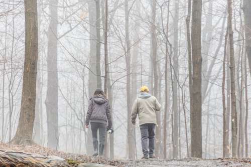 An Older Couple Strolls Into A Fog Filled Forest Photo