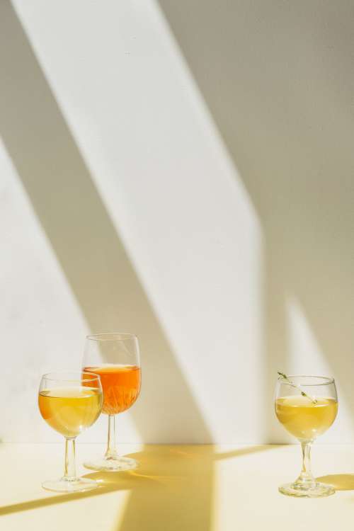Sunny Wine Photo