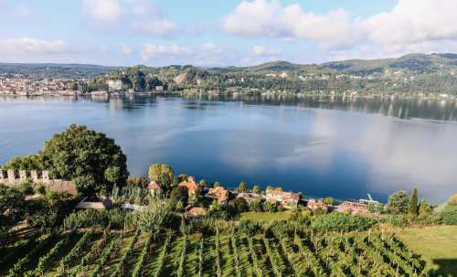 Atop The Vineyards of Lombardy Photo