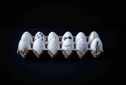 Hand Drawn Eggs In A Carton Photo